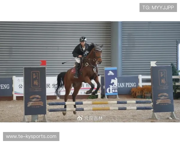 克罗地亚马术协会设立青少年马术奖学金，支持优秀学员发展。，克罗地亚 马耳他